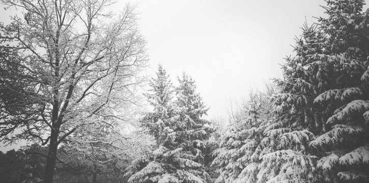 6 HVAC Tips for Winter